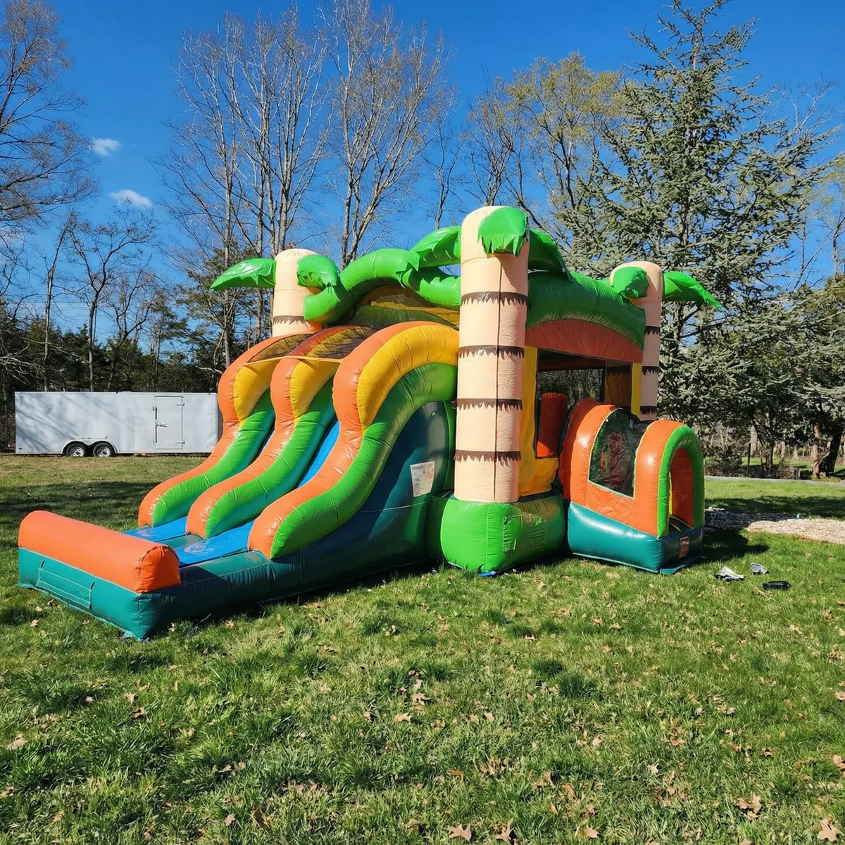 Palm Tree Double Slide Combo rental in Stafford VA